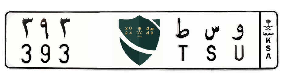 لوحة و س ط 393